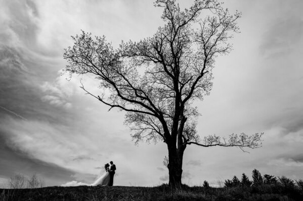 Photograph Raph Nogal Gone With The Wind on One Eyeland