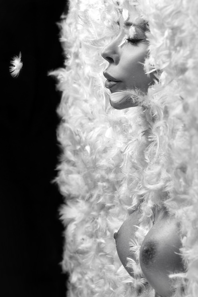 Photograph Roberto Manetta Les Plumes on One Eyeland