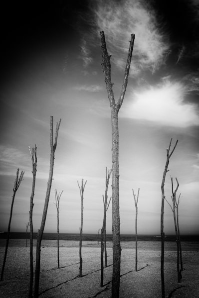 Photograph Magda Fulger Untitled on One Eyeland