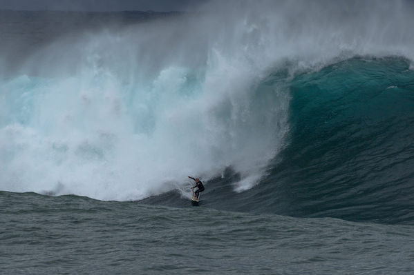 Photograph Steve Turner Giants Of The Ocean on One Eyeland