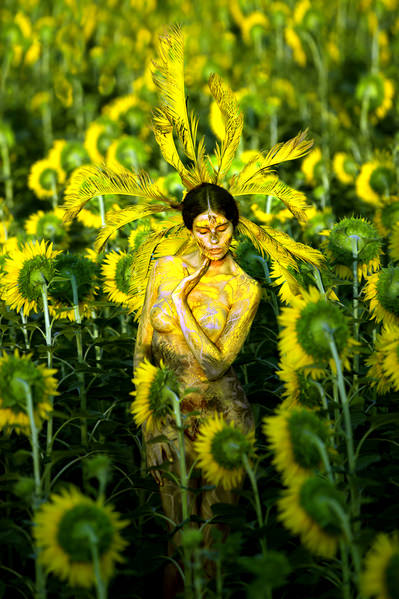 Photograph Roberto Manetta Queen Of Sunflowers on One Eyeland