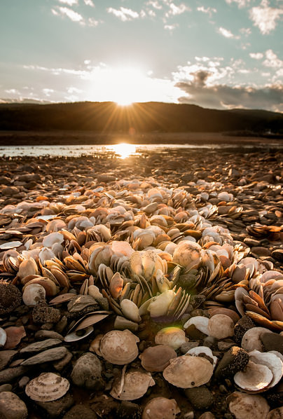 Photograph Mary Ann Wamboldt Shells At Low Tide on One Eyeland