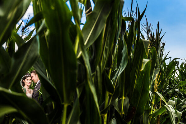 Photograph Raph Nogal In The Corn Fields on One Eyeland