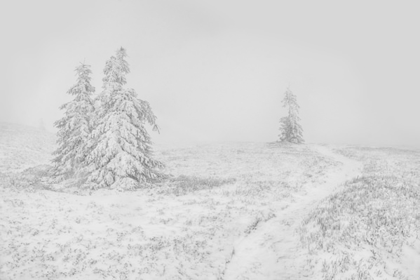 Photograph Peter Svoboda Winter Blues on One Eyeland