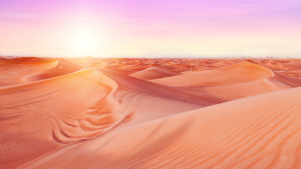 Photograph Steve Struttmann Ddd The  Dubai Desert Dreams on One Eyeland