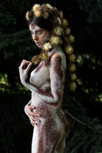 Photograph Roberto Manetta Hamadryad on One Eyeland