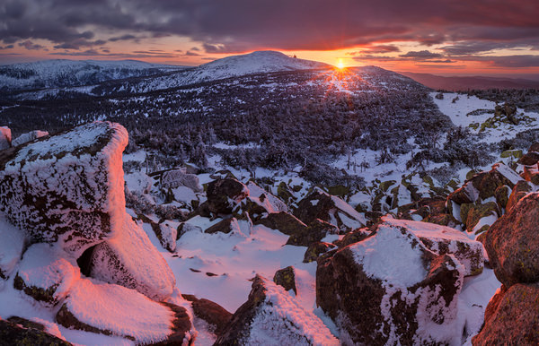 Photograph Jan Smid April Wilderness on One Eyeland