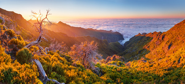 Photograph Jan Smid At The End Of The World on One Eyeland