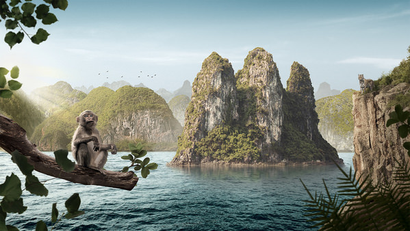 Photograph Leonardo Escobar Lost Island on One Eyeland