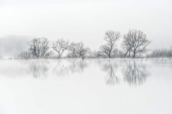 Photograph Kazuaki Koseki Silent Water Surface on One Eyeland