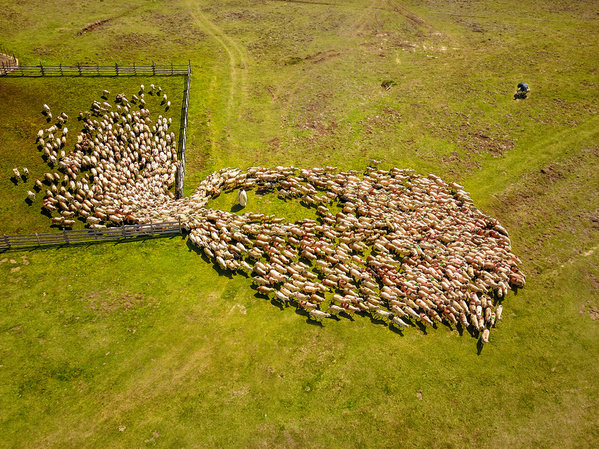 Photograph Sarb Vasile The Eye on One Eyeland