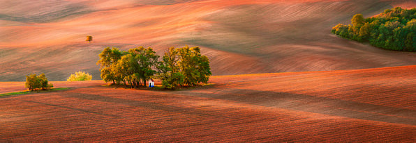 Photograph Jan Smid Oasis Ii on One Eyeland