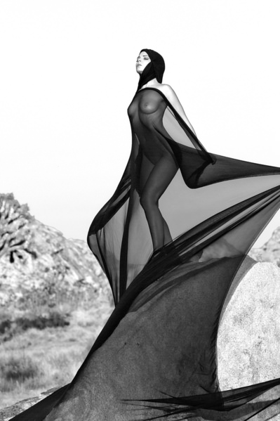 Photograph Roberto Manetta Black Butterfly on One Eyeland