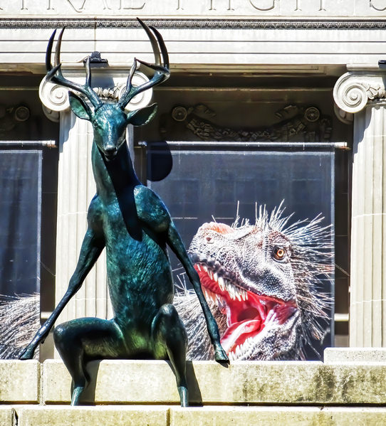 Photograph Larry Hamill Deer Sculpture on One Eyeland