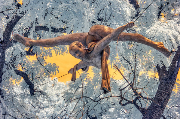 Photograph Larry Hamill Loose Thread on One Eyeland