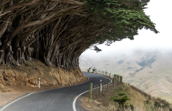 Photograph Matteo Rolfi Roads Of New Zealand on One Eyeland