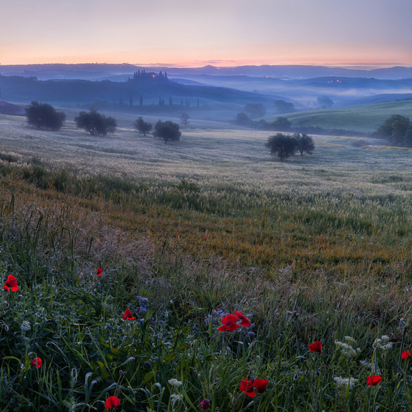 Photograph Jan Smid Belvedere In Sight on One Eyeland