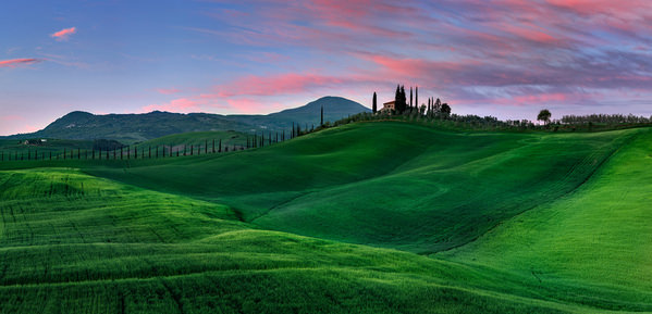 Photograph Jan Smid Tuscan Velvet on One Eyeland