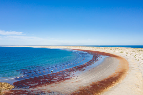 Photograph Anthony Rayburn Project Baja on One Eyeland