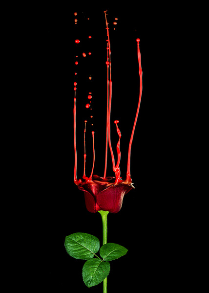 Photograph Marc Sabat Red on One Eyeland