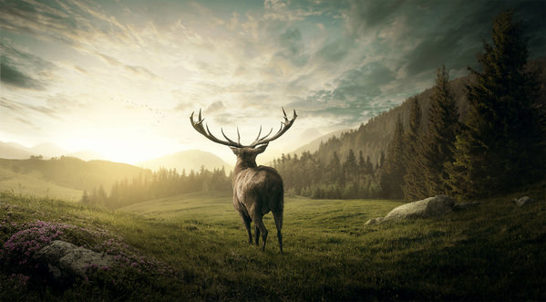 Photograph Leonardo Escobar A Brand New World on One Eyeland