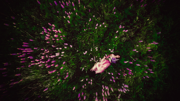 Photograph Ruslan Bolgov The Wild Flower on One Eyeland