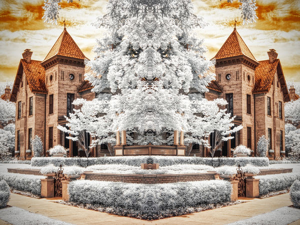Photograph Larry Hamill Deshler Avenue on One Eyeland