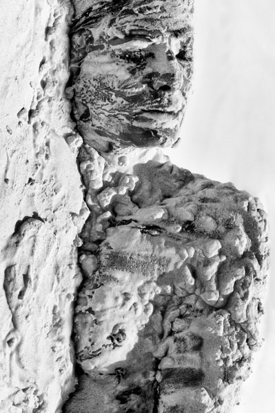 Photograph Roberto Manetta Camouflage on One Eyeland