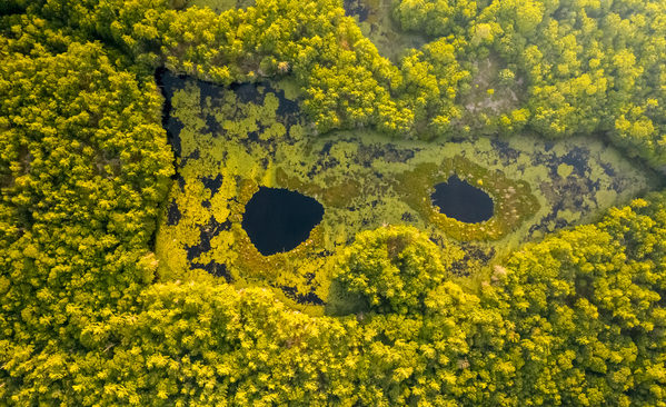 Photograph Marko Radovanovic Look From Below on One Eyeland