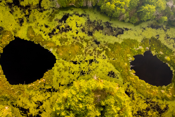 Photograph Marko Radovanovic Look From Below 01 on One Eyeland