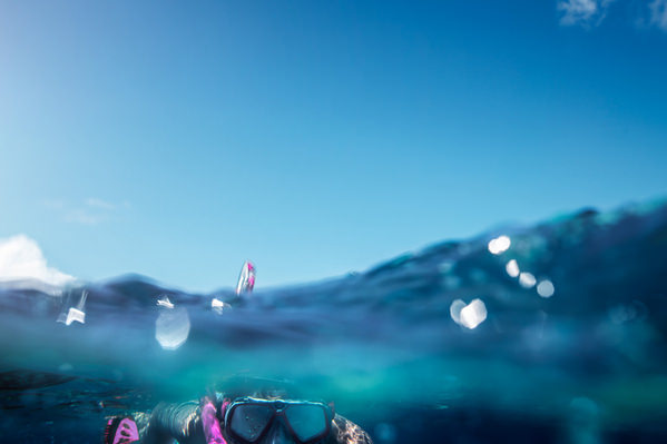 Photograph Troy Goodall Carnival Cruise Line on One Eyeland