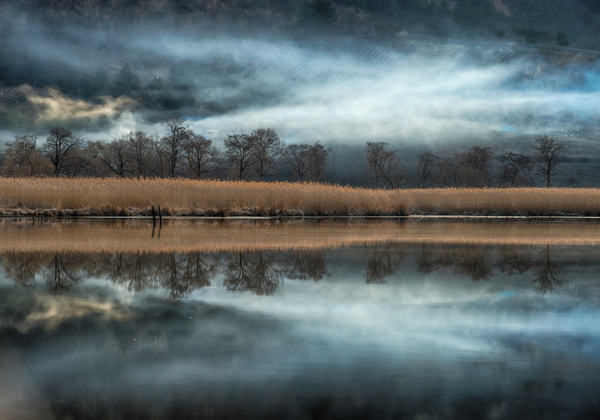 Photograph Kazuaki Koseki Awakening The Trees on One Eyeland