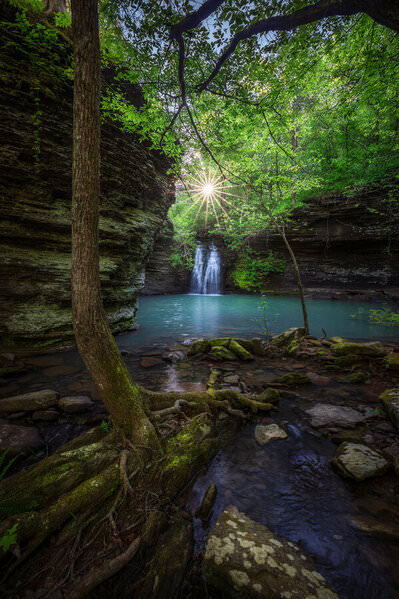 Photograph Carr Ward Fiddlehead Falls 2 on One Eyeland