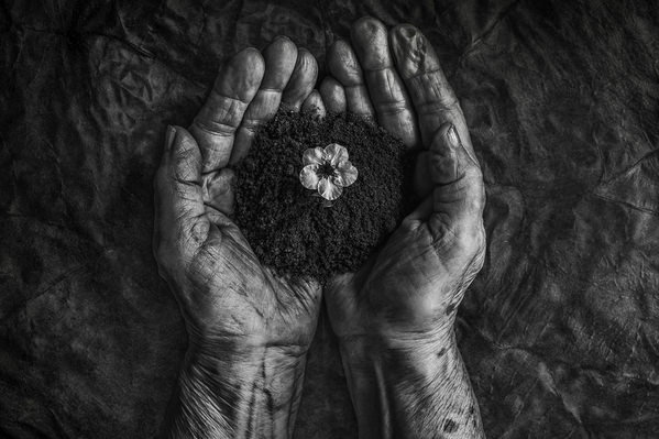 Photograph Stephen Clough New Life on One Eyeland