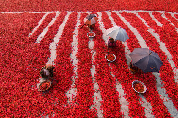 Photograph Azim Khan Ronnie Red Chilies on One Eyeland