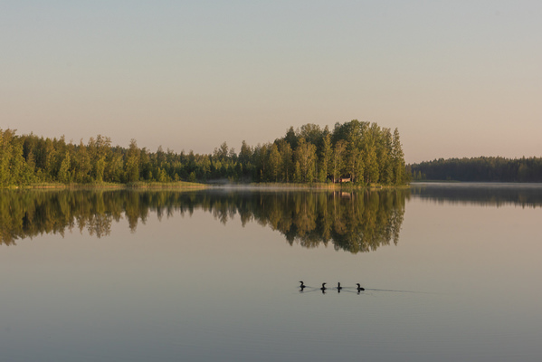 Photograph Tapio Hyvonen Cp_1 on One Eyeland