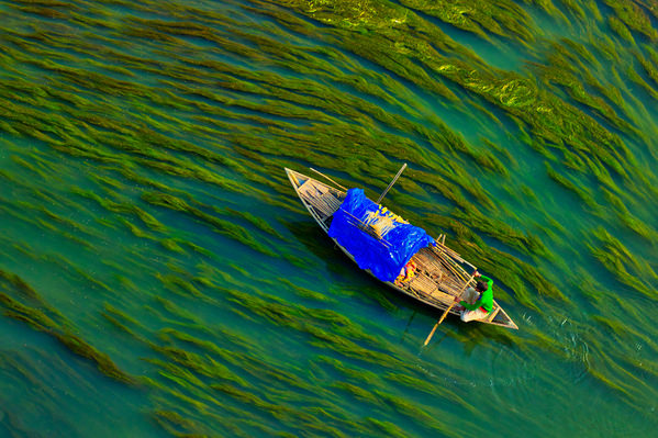 Photograph Azim Khan Ronnie Algae River on One Eyeland