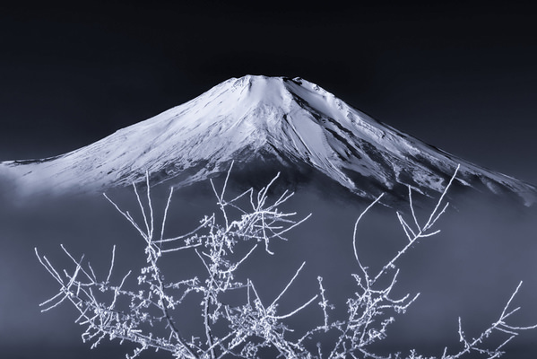Photograph Takashi  White Tree Branch on One Eyeland