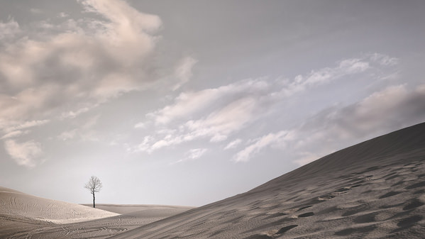 Photograph Cooltango Oonhateparuk Dunes on One Eyeland