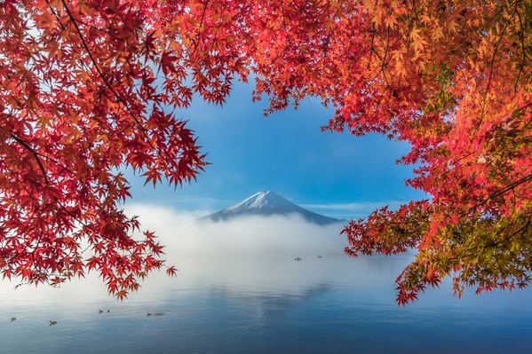 Photograph Saowanee Suntararak Good Morning Autumn on One Eyeland
