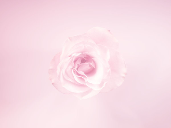 Photograph Jonathan Knowles Miss Dior on One Eyeland
