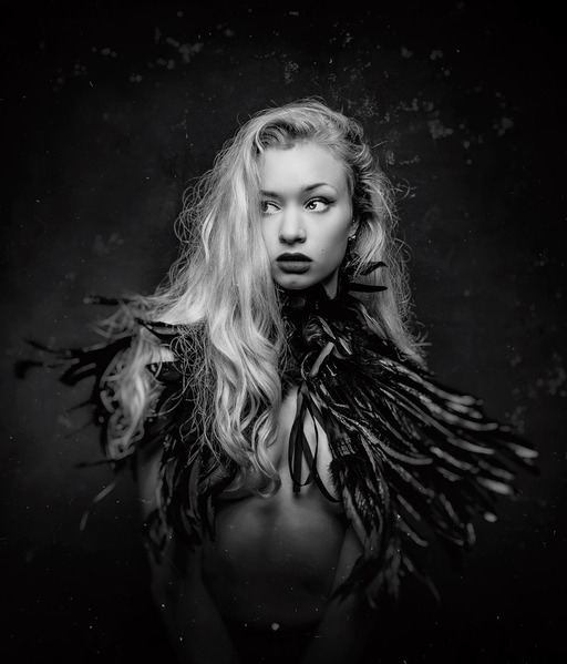 Photograph Ian Ross Pettigrew Black Swan on One Eyeland