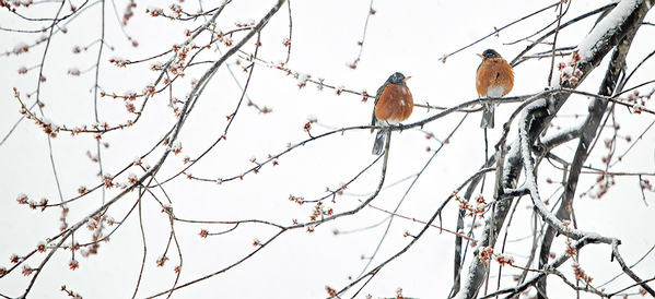 Photograph Dolly Kabaria A Snowy Day on One Eyeland
