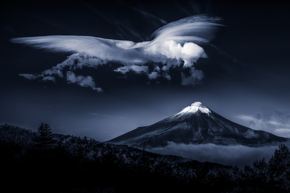 Photograph Takashi  Autumn Phoenix on One Eyeland