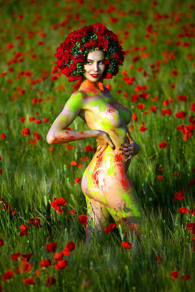 Photograph Roberto Manetta Queen Of Poppies on One Eyeland