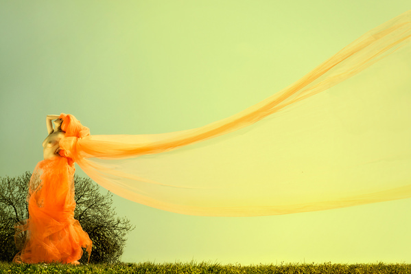 Photograph Roberto Manetta Orange Fairy on One Eyeland