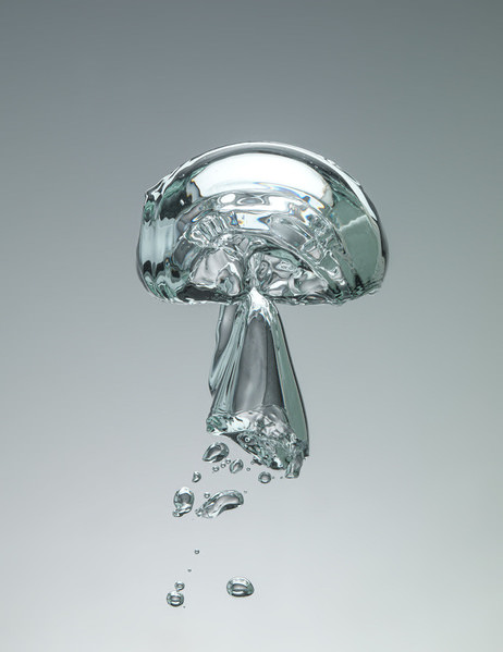 Photograph Jonathan Knowles Underwater Bubbles on One Eyeland
