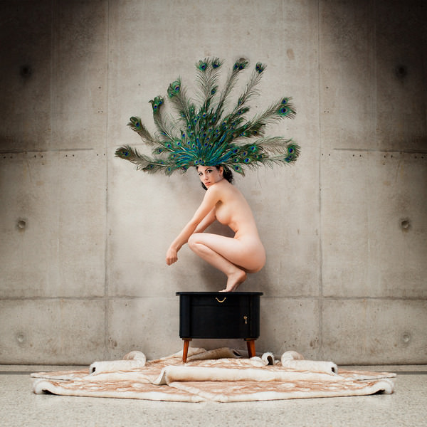 Photograph Mandy Hady Schulte Peacock Artwork on One Eyeland