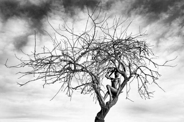 Photograph Roberto Manetta Africa on One Eyeland