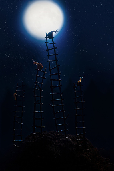 Photograph Nataly Golubeva The Night Watch on One Eyeland